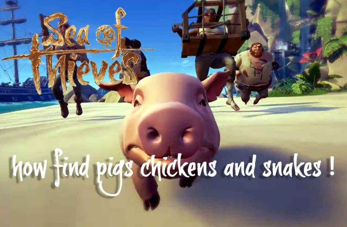sea-of-thieves-how-find-chickens-pigs-and-snakes