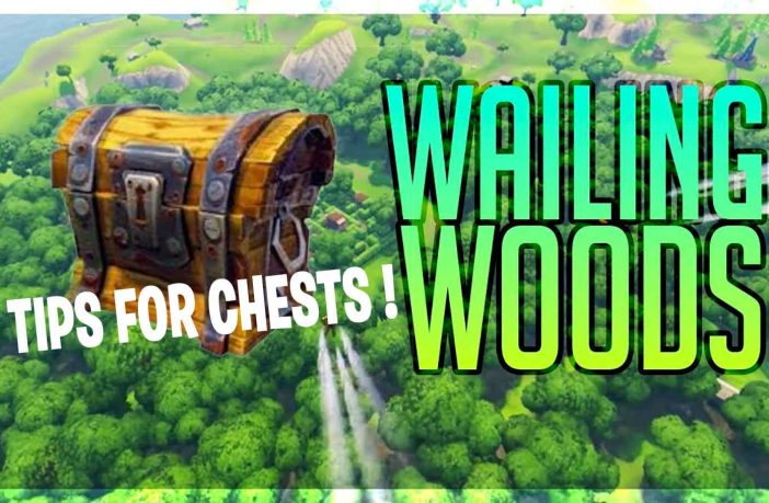 tips-for-challenge-chests-in-wailing-woods-fortnite
