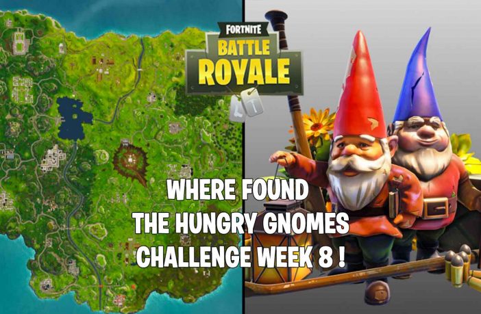 hungry-gnome-locations-fortnite-week-8-challenge