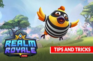 realm-royale-tips-and-tricks