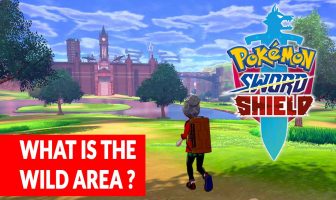pokemon-sword-and-shield-what-is-the-wild-area