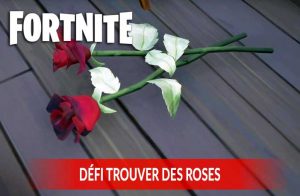 guide-fortnite-reussir-le-defi-de-trouver-des-roses