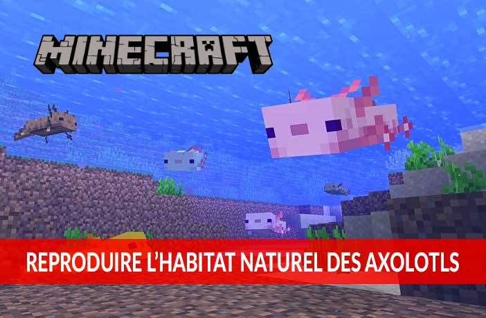 reproduire-habitat-naturel-des-Axolotls-minecraft