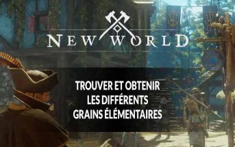 guide-new-world-trouver-et-obtenir-les-grains-elementaires